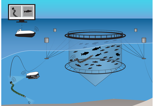 CHANGE - An underwater robotics concept for dynamically changing environments