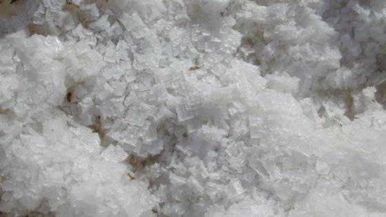 PhD prosjekt: Low Salt Products