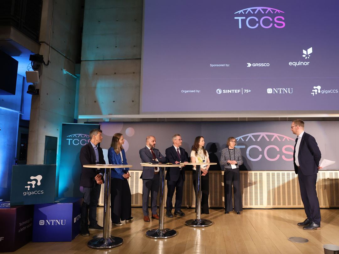 Panel discussion at TCCS-13
