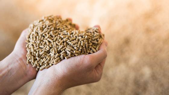 SocialFeed – Developing social science methods for evaluating sustainability in Norwegian feed system