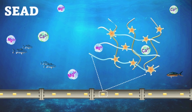 SEAD - Tunable and durable seawater adhesives